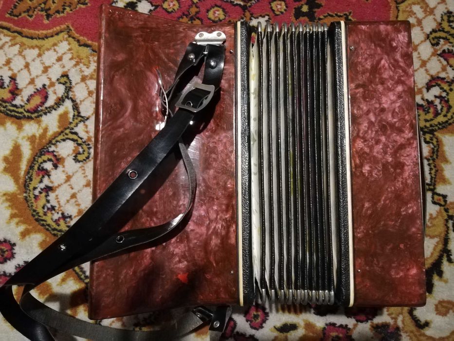 Vand acordeon copii