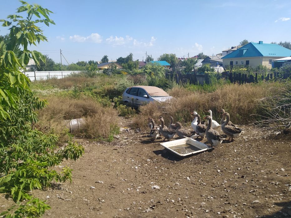 продам  продам дом