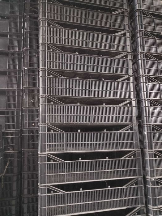 Каси за гъби гъбарки