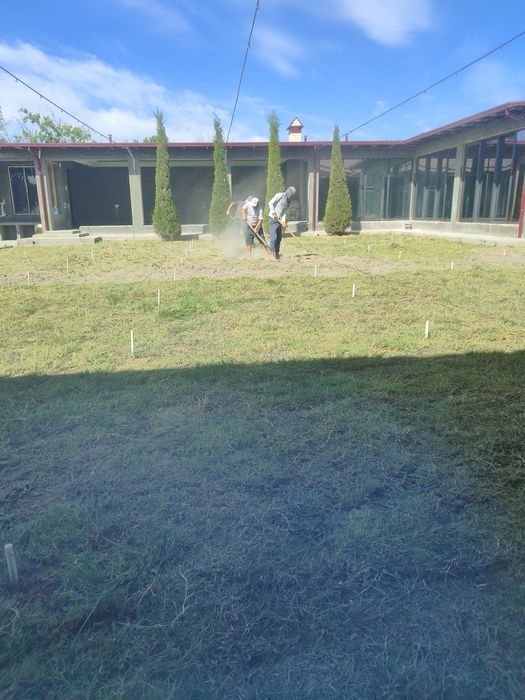 Tabiiy chim va ajriq