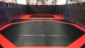 Борцовский ковер (без матов), 10х10м