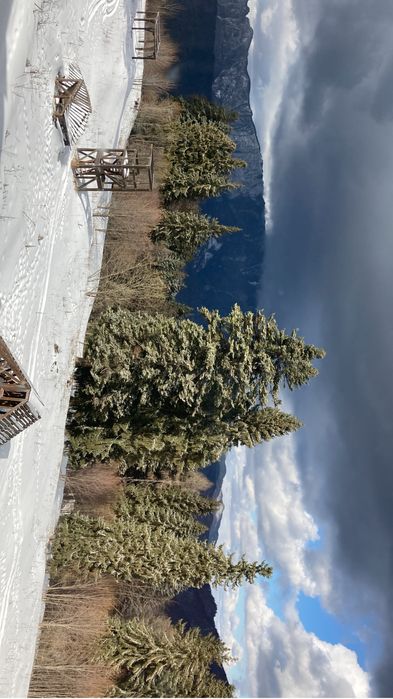 Apartament 3 camere Predeal