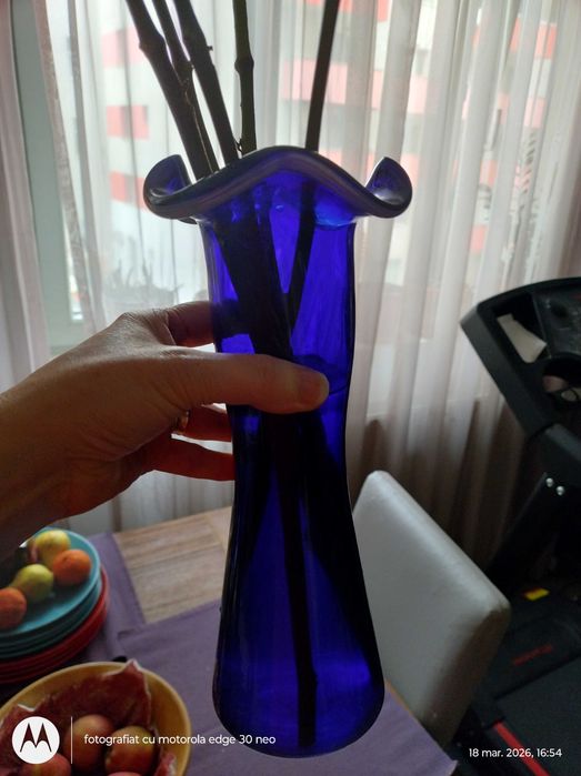 Vaze ornamentale, 50 lei fiecare