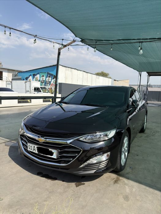 Malibu Premier Sotiladi