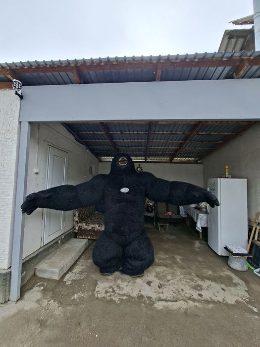 Горилла костюм прокат