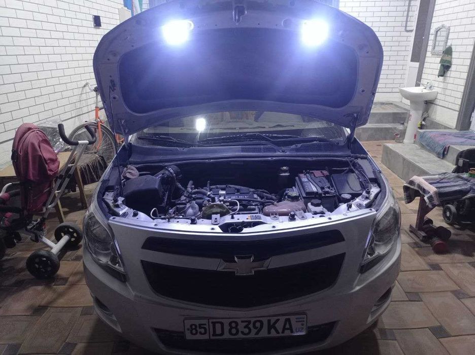 COBALT LT 2-Pozitsitya