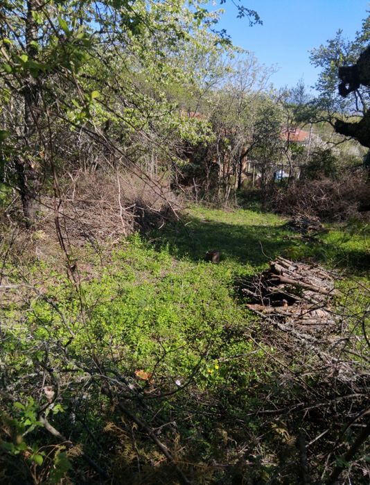 Продава се Парцел в с. Радловци, Област Кюстендил - 660 кв.м за 11 €/кв.м - Снимка #2