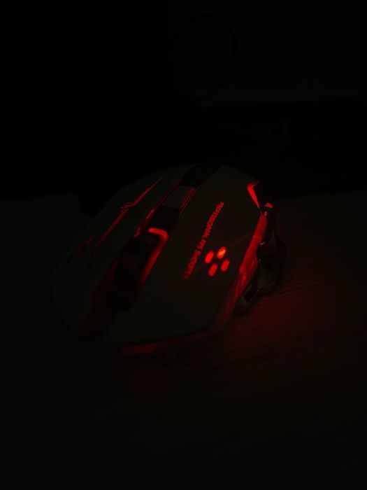 Mouse gamig, мышка ддя кам