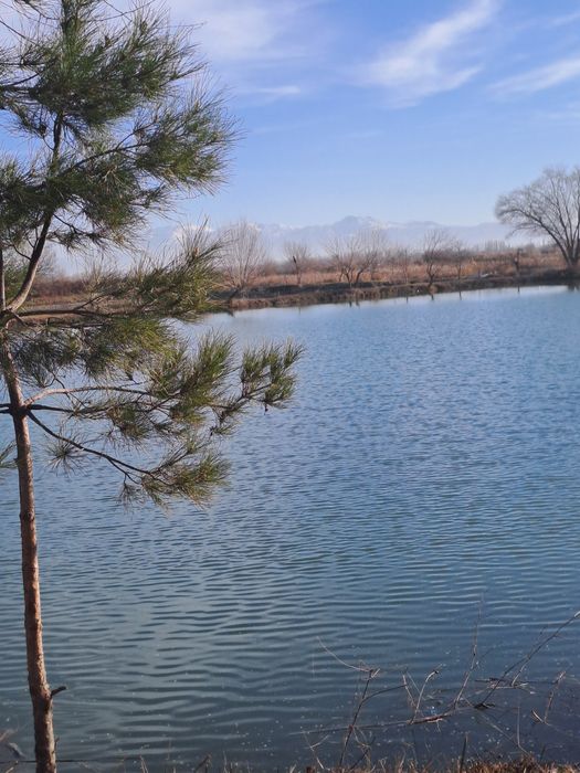 Добро пожаловать на рыбалку , адрес  Самарканд  Жомбой