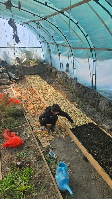 Продается теплица размеры 5*20,100кв.м.