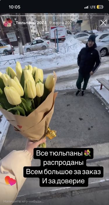 Тюльпаны оптом костанай