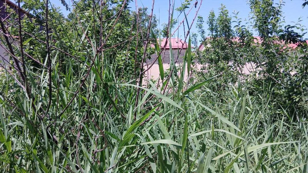 Коттеж 6 сотых Мотрит кургони 175000 уе