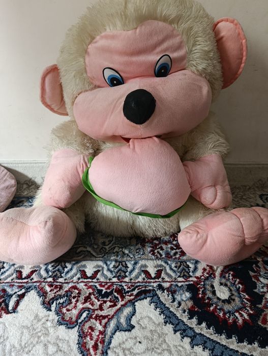 Айикла кичкина ва котта