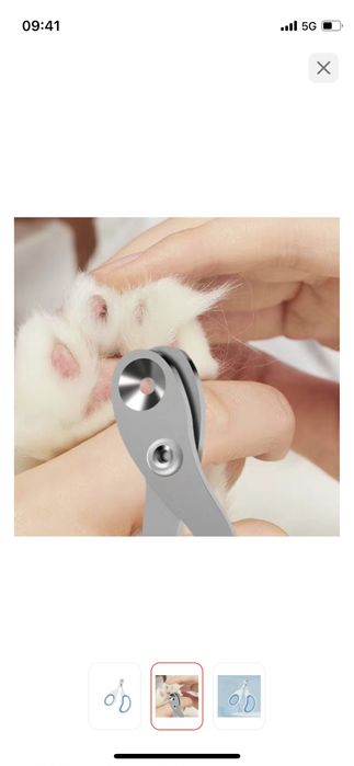 Система приучения к туалету