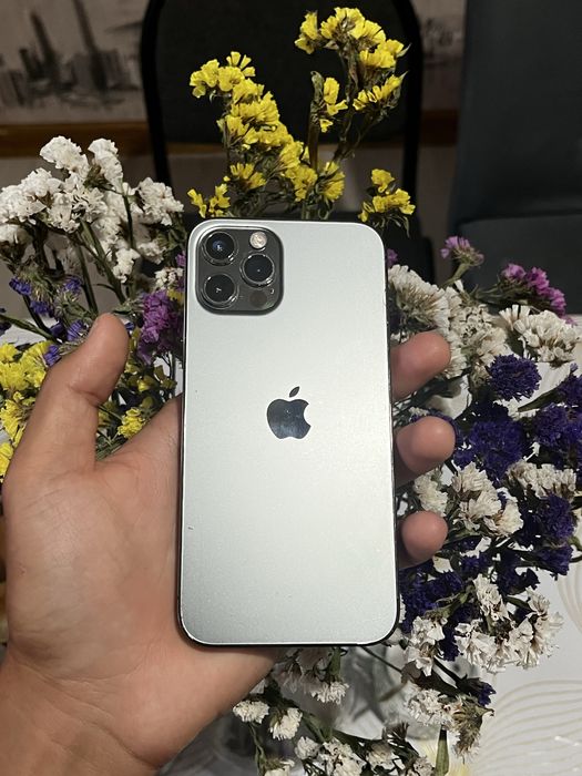 iPhone 12 Pro