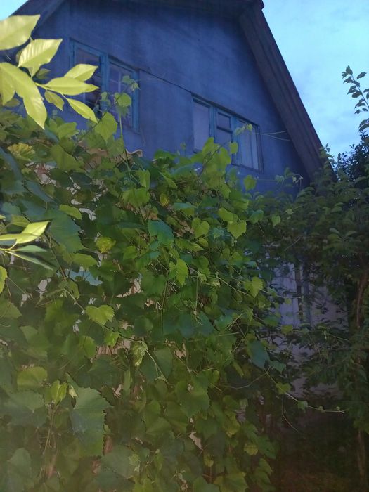 Продам дачу за понтонным мостом
