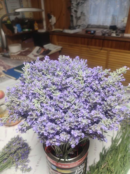 Букетики свежей лаванды1