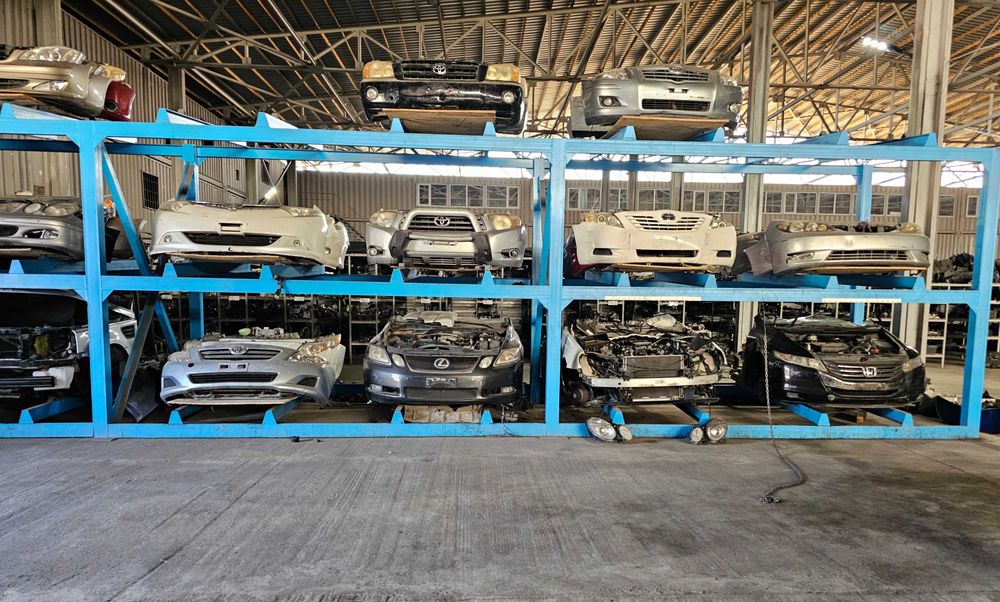 Ноускат мини морда