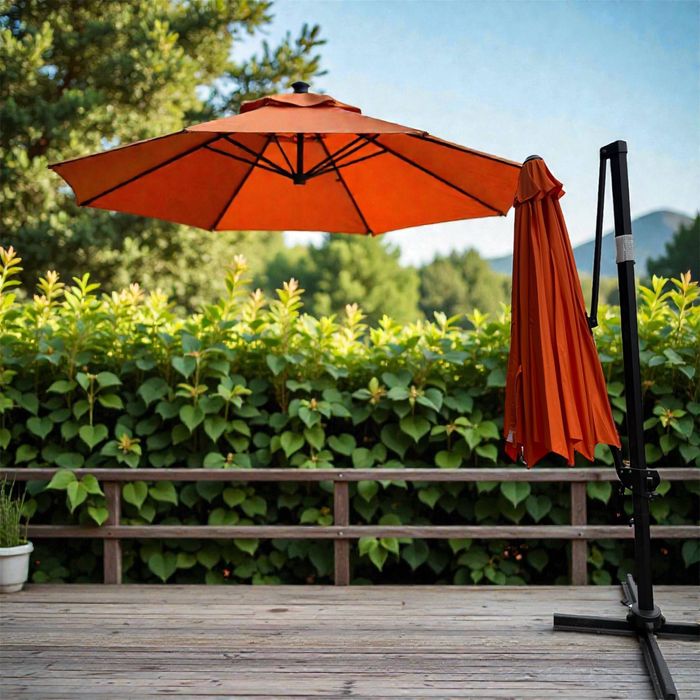 Pashsha xonali zontik optim