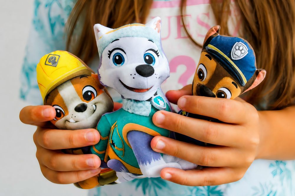 Пес патрул , Кученцата от Пес Патрул , Скай , Райдър , Paw patrol