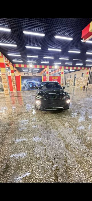 Byd Champion 2024 toza Honor