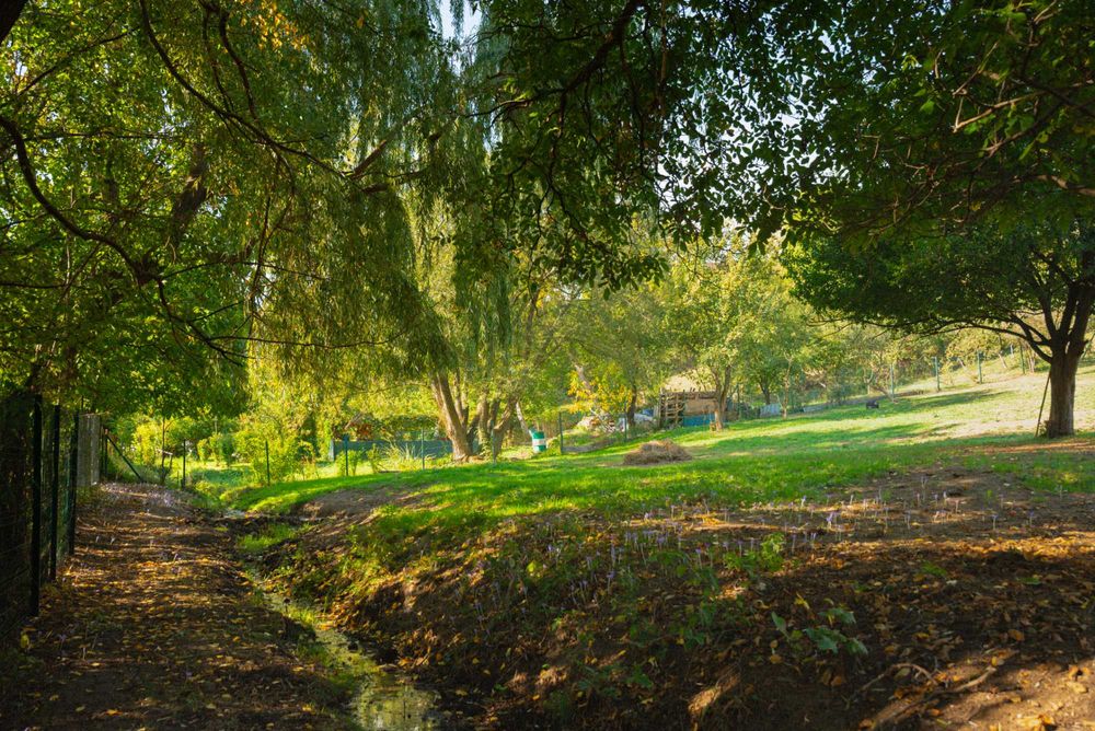 Teren / Parcele (924mp) de vânzare in Codlea - Strada Nicolae Bălcescu