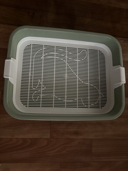 Отдам красивую кошечку