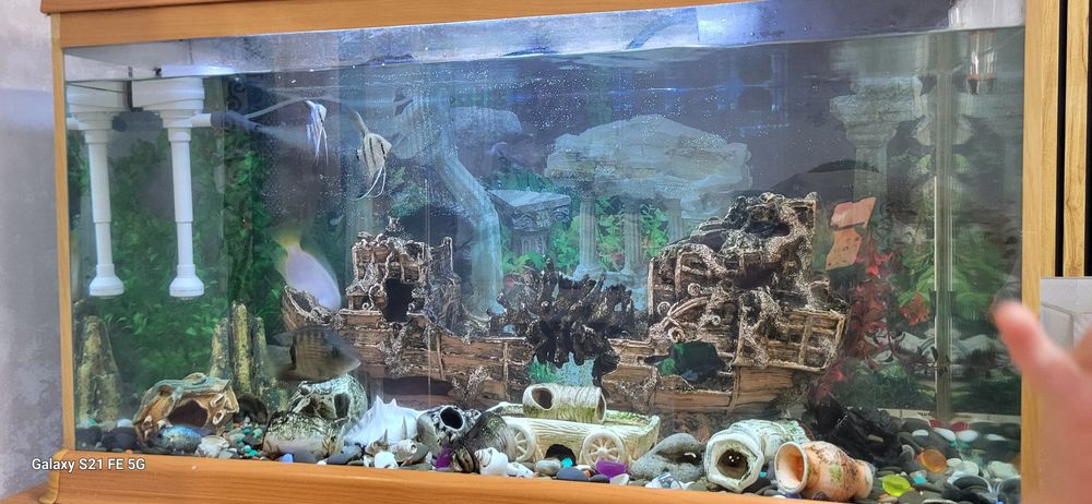 Аквариум для дома