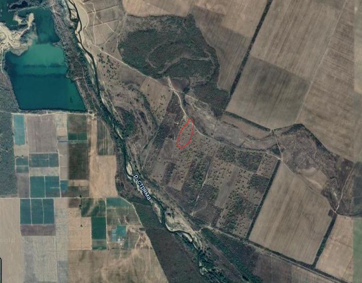 Продава се Земеделски имот в с. Ръжево Конаре, Област Пловдив -  кв.м за 2938 €/дка - Снимка #2