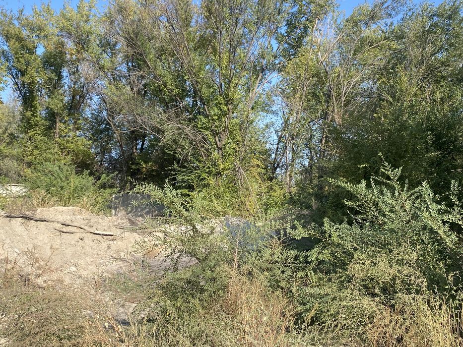 Дрова, Жетиген (Николаевка)