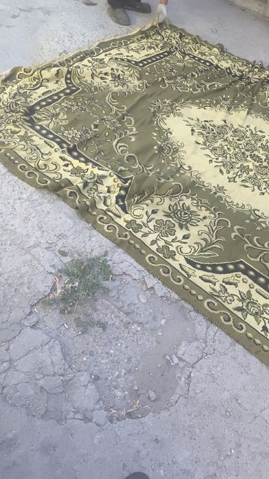 Продам разные паласы по 5 тысяч.