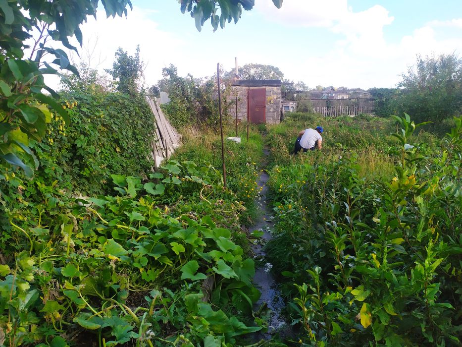 Продается Дача в ДО Оптимист