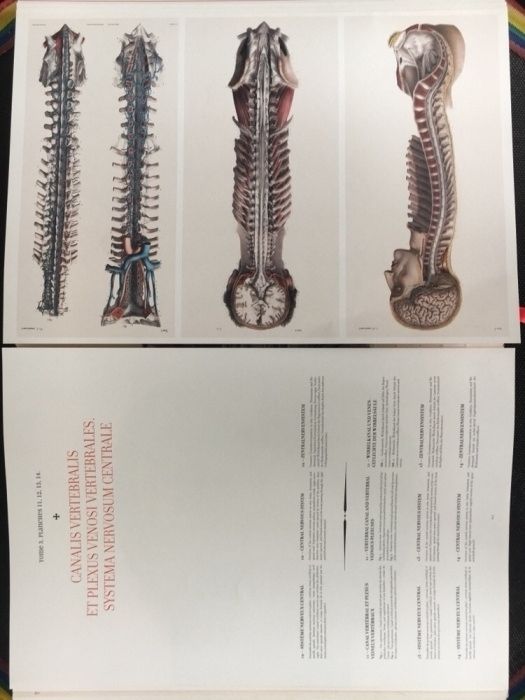 Atlas of Human Anatomy and Surgery / Medicina / Anatomie / Chirurgie