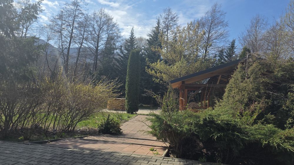 Cabana Tisieu - Ibanesti