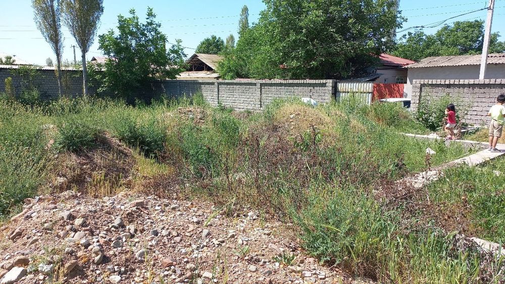 Yangi Toshkent yaqinida yer uchastkasi sotiladi