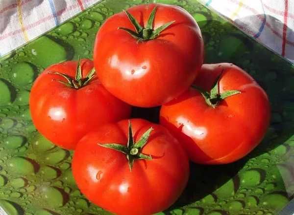 семена томатов Tomato Bobcat