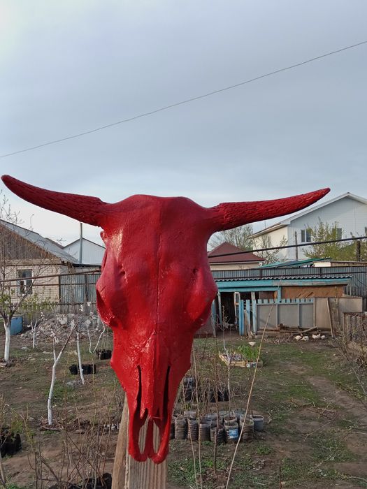 Голова Быка для декора сада