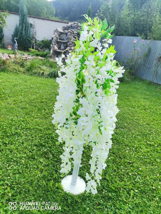 Doi pomișori nunti 1m