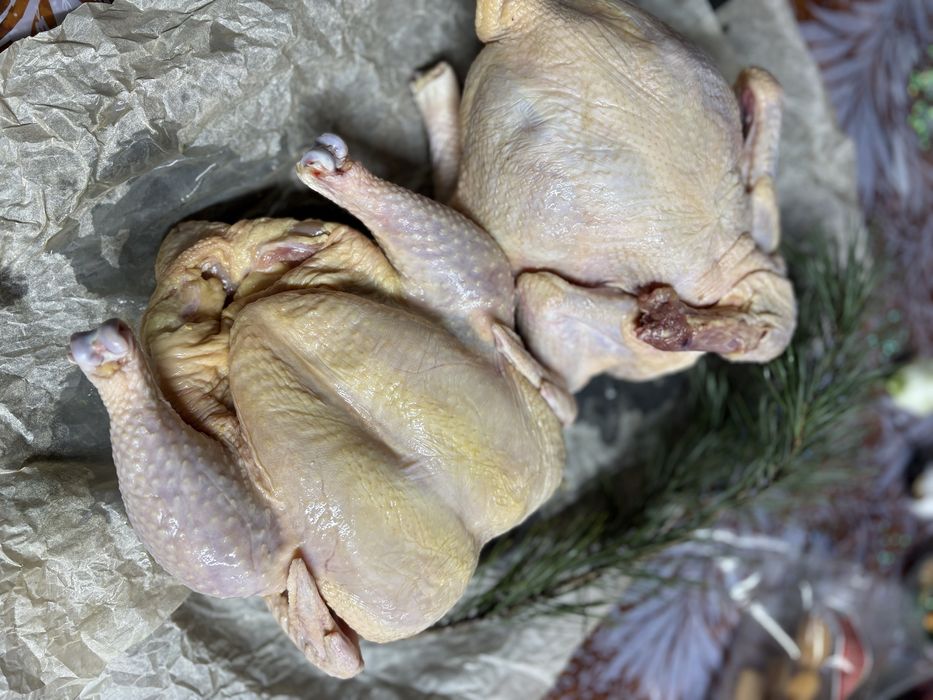 Фермерская курица