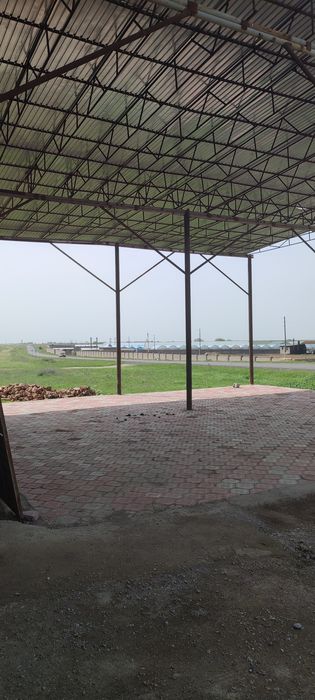 Сдам в аренду теплицу