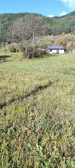 Teren de vânzare în zona montană