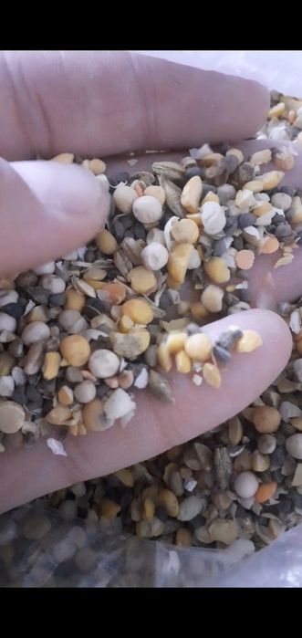 ОТХОДЫ ОТХОДЫ гороховый ячменные