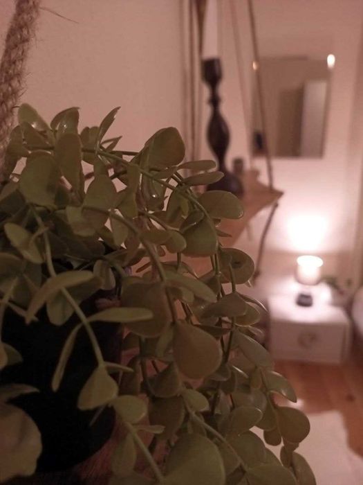 Дава се под наем Етаж от къща в Велинград - 100 кв.м за 331.5 € - Снимка #1