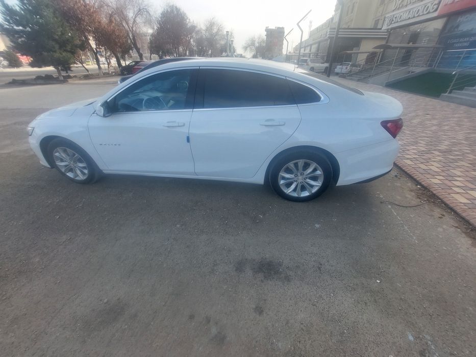 Malibu primer sotiladi