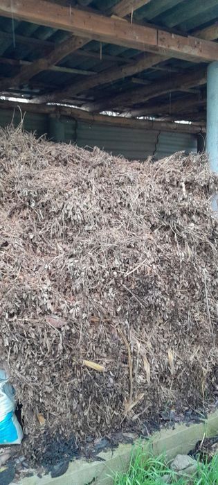 Мол учун ерёонгок ва хашак