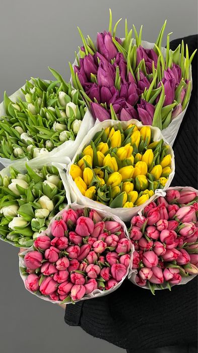 Продам тюльпаны