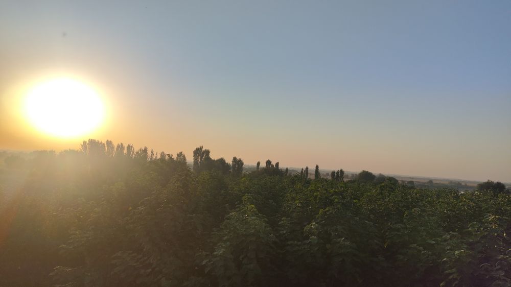 Огромная дача 2га