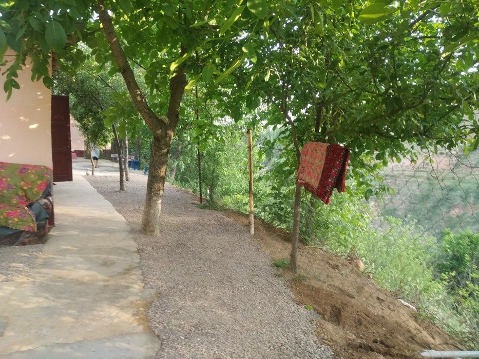 Tog' bag'rida shinamgina dacha sotiladi