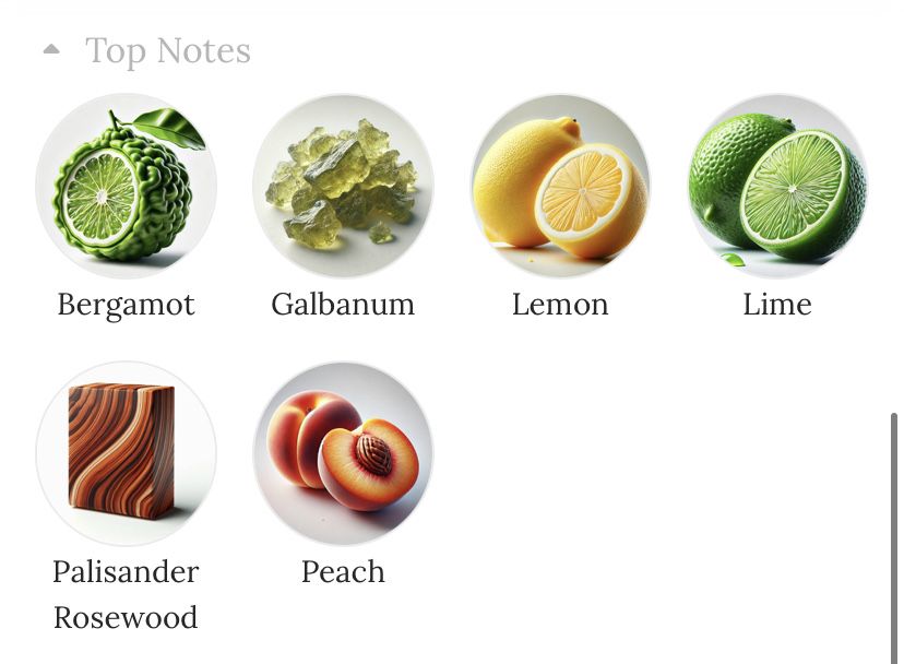 Borsari 1870 Parma Fontana Déco Borsari Arte Eau de Parfum 40ml