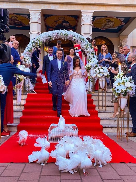 Artificii de zi, gender reveal, cununie civila, fum greu, baloane fum